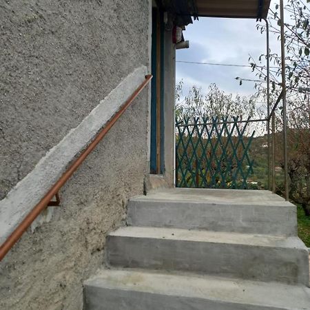 Casa Vita Apartment Vallebona Luaran gambar